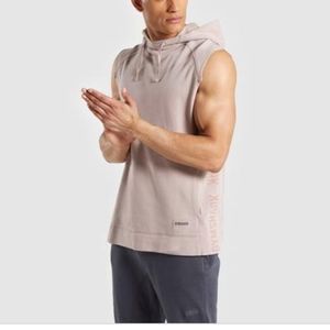 Gymshark LAUNDERED SLEEVELESS HOODIE